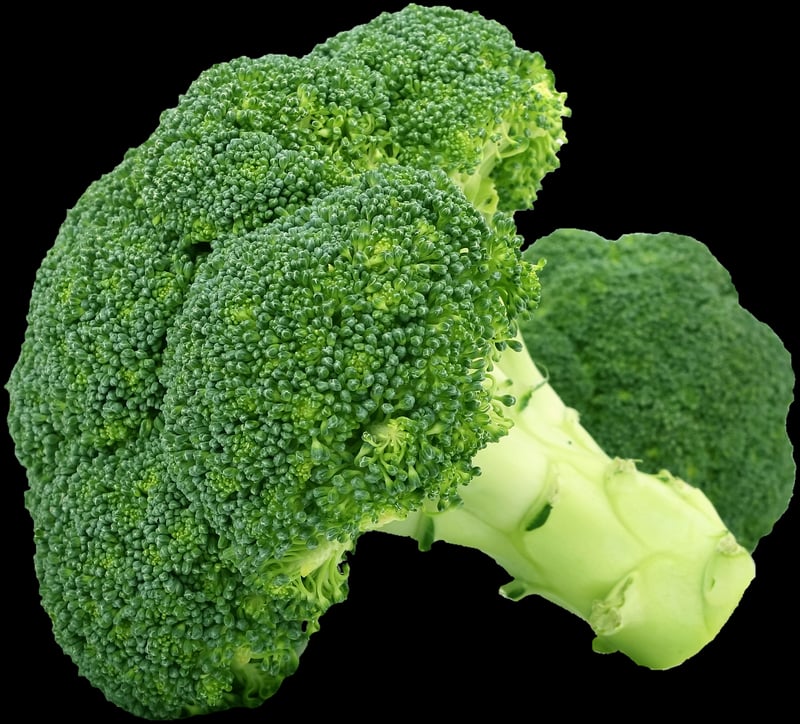 Vegan Diet Foods